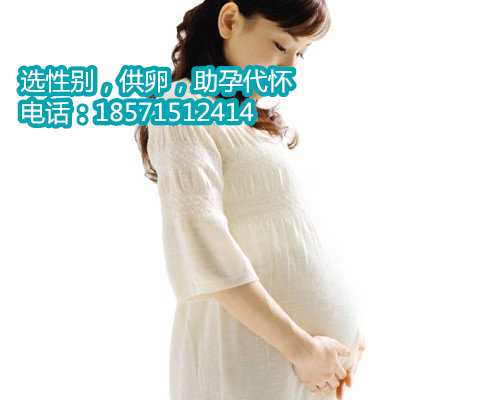 大连正规代孕中介价格,泰国高龄试管婴儿三大医院